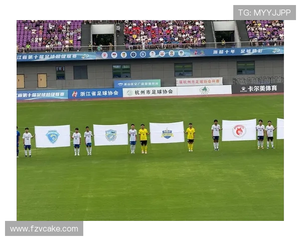 杭州足球队技术争议引发热议球迷与专家各执己见探讨战术与表现