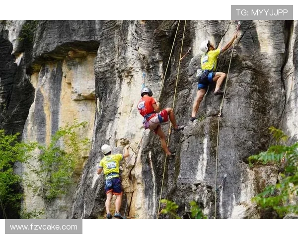 武汉攀岩队的节奏争议引发热议攀岩运动未来发展方向探讨